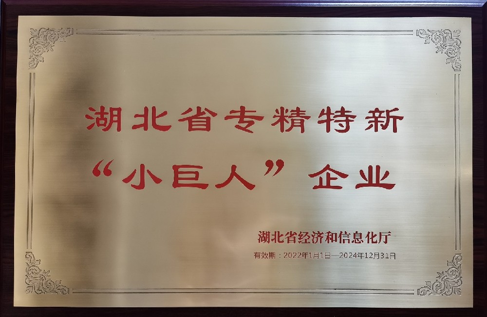 湖北震序車船科技股份有限公司獲湖北省專精特新“小巨人”企業(yè)稱號
